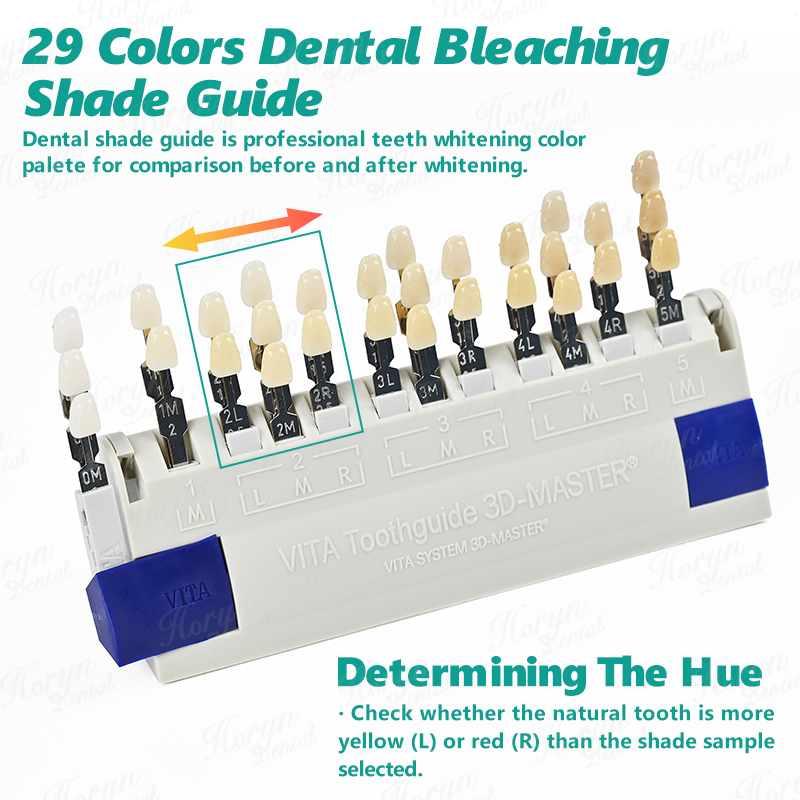 Guía de Colores Vita 3D Master - Teeth Whitening Bleach reseña y precio